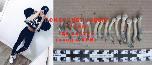 дмт Богородицк