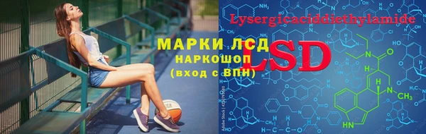 прущий лед Богданович