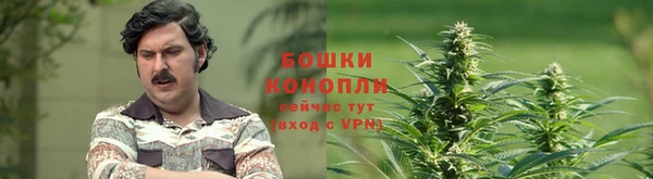 дмт Богородицк