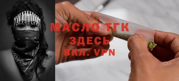 дмт Богородицк