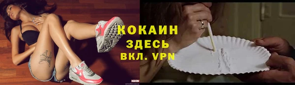 прущий лед Богданович