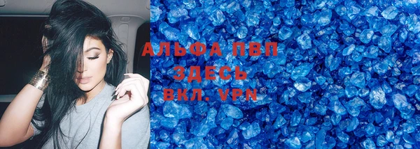 прущий лед Богданович
