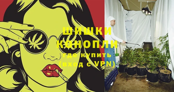 прущий лед Богданович