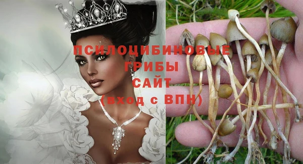 дмт Богородицк