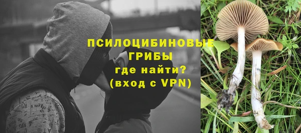 прущий лед Богданович