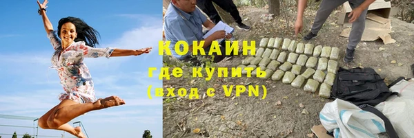 прущий лед Богданович