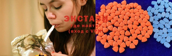 дмт Богородицк